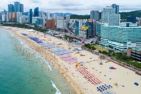 Busan: Haedong Yonggungsa & Haeundae【Chinese Driver】