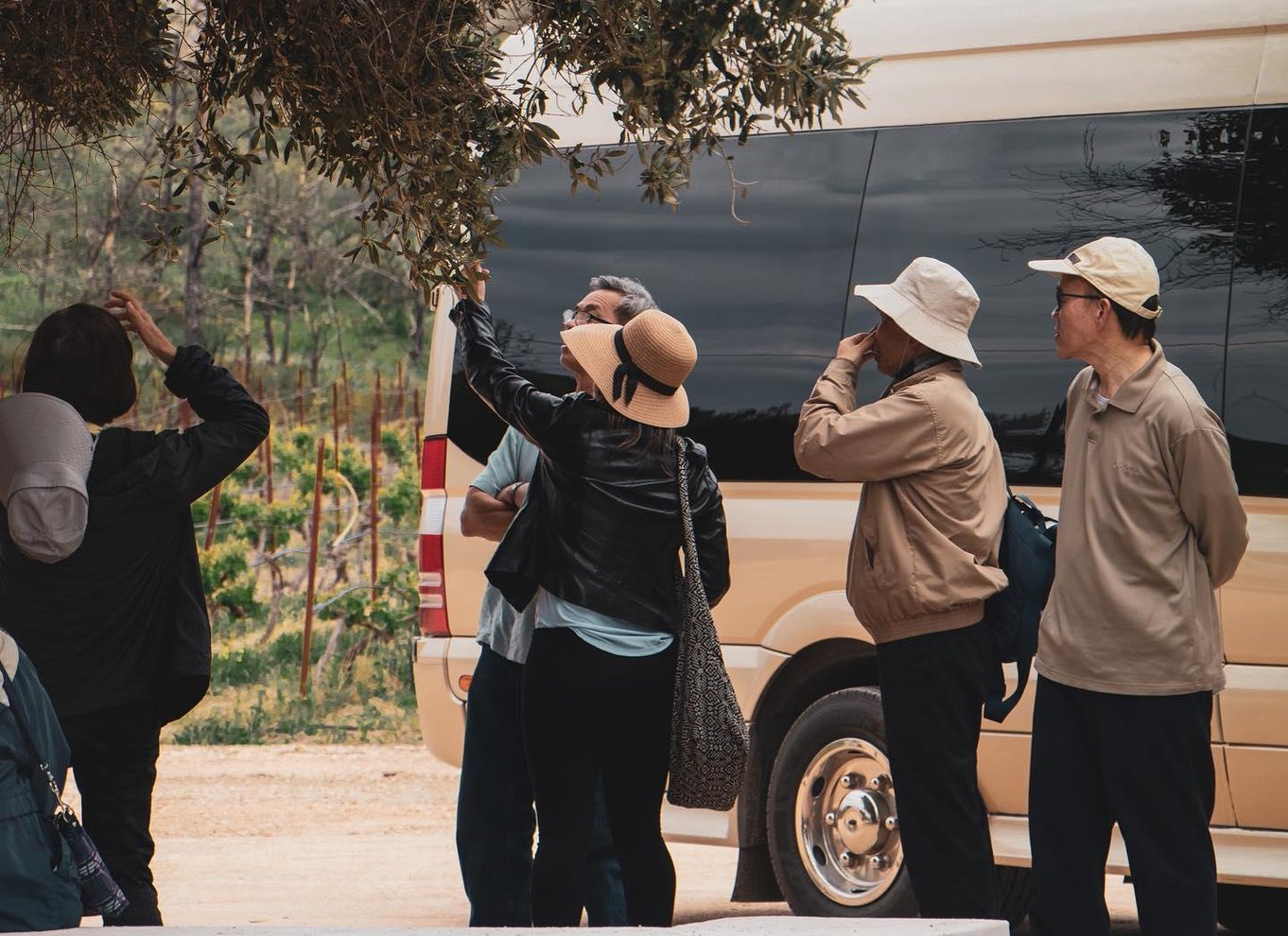 Rhodos: Rundvisning på vingård og vinsmagning