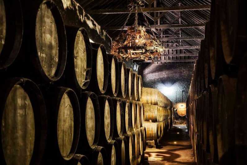 Setúbal Wine Tour: Discover the Moscatel Wine