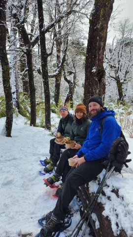 Visit Snowshoeing at the base of Villarrica Volcano & Waterfall in Pucon, Chile