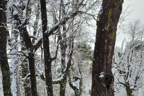 Snowshoeing at the Villarrica Volcano base & Waterfall