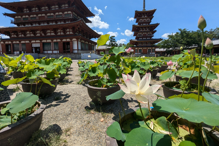 Nara: Private Buddhist Temple Tour with Deer Park Visit