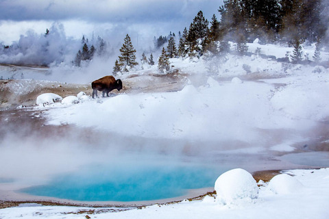 Salt Lake City: 4-Day Yellowstone & Grand Teton Winter Tour