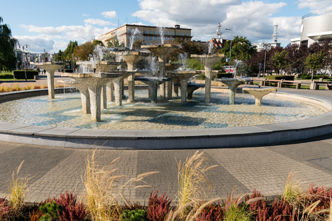 Gdynia: Top Highlights Private Walking Tour with Viewpoint Gdynia: Private Walking Tour with Kamienna Góra Viewpoint