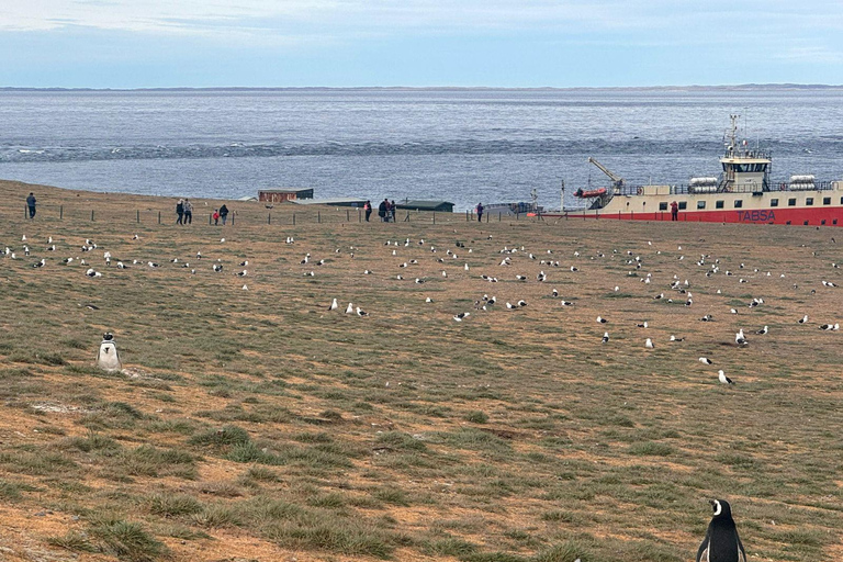 Magdalena Island Natural Monument Tour