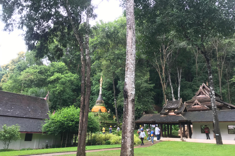 Chiang Mai: Santuario degli elefanti, sentiero dei monaci e tour di Doi SuthepPunto di incontro