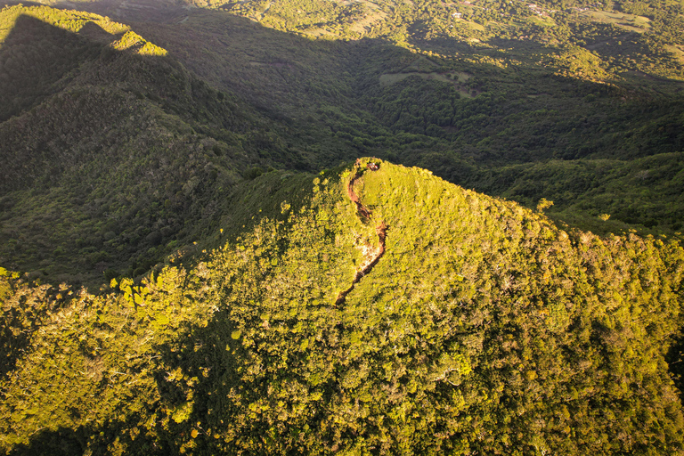 Maurice : randonnée guidée dans les gorges de la Rivière NoireMaurice : Randonnée guidée dans les gorges de la Rivière Noire