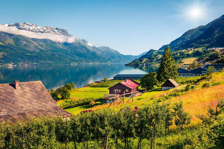 Scenic Hardanger Fjord, Waterfalls, and Orchards Day Trip