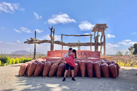 Rota do Pisco | degustação | experiência no deserto