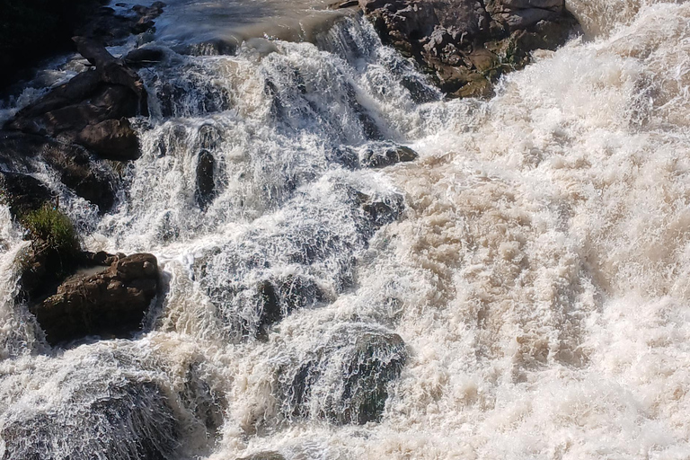 "Doświadczenie safari w Parku Narodowym Awash"