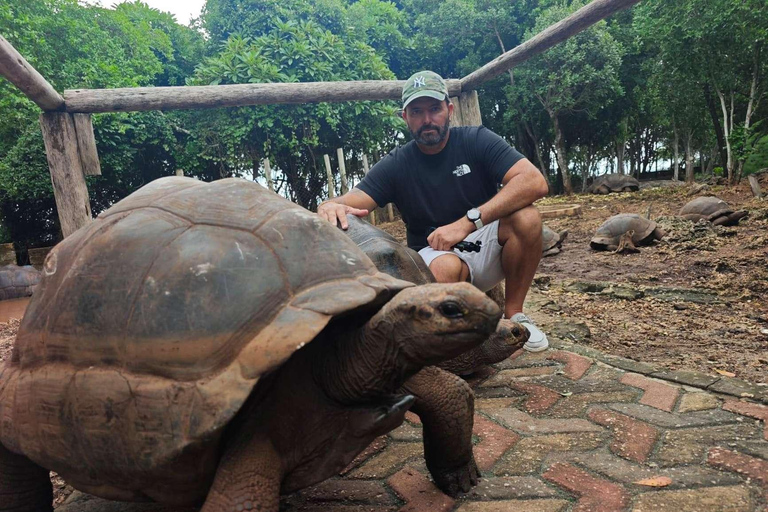 Zanzibar:Prison Island Private Tour–Meet the Giant Tortoises Prison Island & Nakupenda Sandbank Tour with Lunch