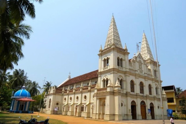 جولة ركوب الدراجات في ضوء القمر في كوتشي