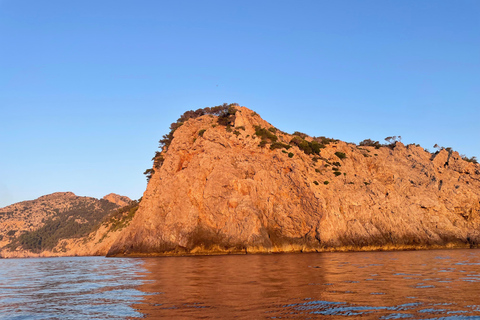 Can Picafort: Dolphin Watching Boat Tour with Swimming&caves Can Picafort: Dolphin Watching Boat Tour with Swimming stop