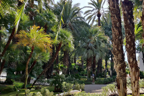 Depuis Alicante : visite du jardin botanique national