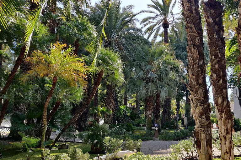 Desde Alicante: Excursión al Jardín Botánico Nacional