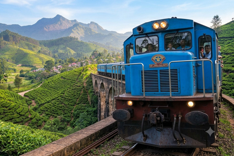 From Kandy: Nanu Oya to Ella Train Journey & Tea Highlands