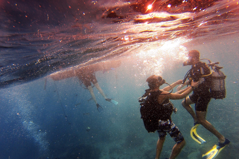 Private: Catamaran Adventure &amp; Beach BBQ at Catalina Island