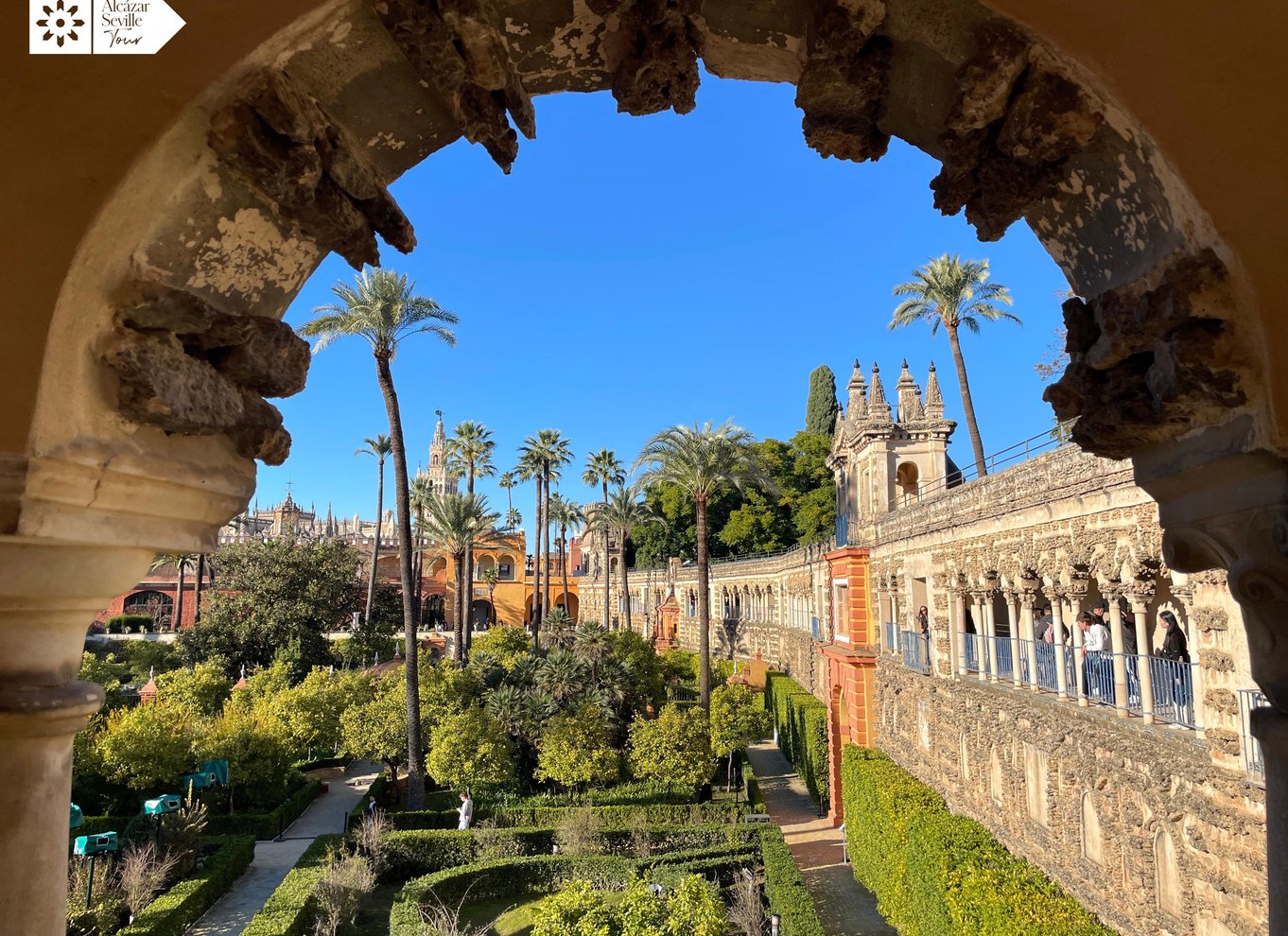 Sevilla: Spring køen over til Alcázar, katedralen og Giralda