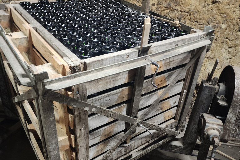 Loire Valley Wine Tour from Paris: 2 Wineries & 10 Tastings Premium Option
