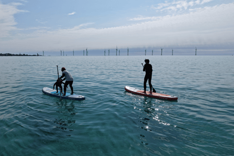 Jeju Aewol Seaside Retreat – SUP Adventure Golden Hour SUP Experience (2hrs. Rental)