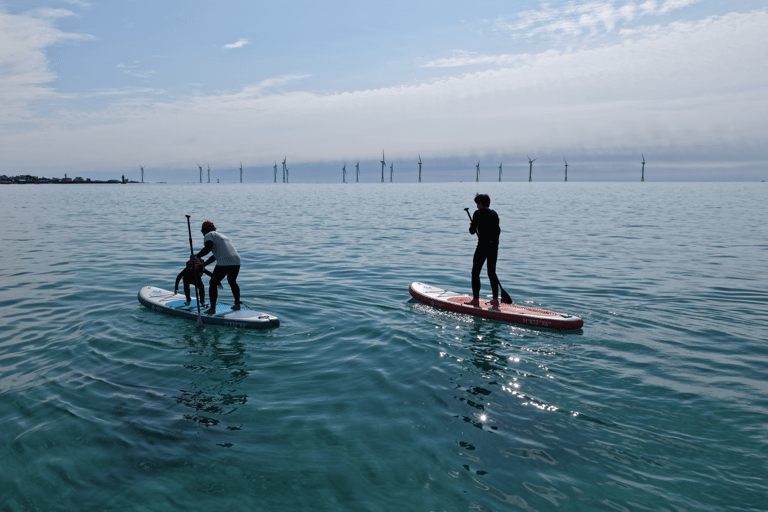 Jeju Aewol Seaside Retreat – SUP Adventure Golden Hour SUP Experience (2hrs. Rental)
