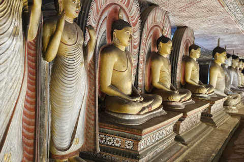 Från Kandy: Dagsutflykt till Sigiriya och Dambulla