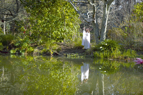 Wellington: Secret Realms of Middle-earth - Lothlorien