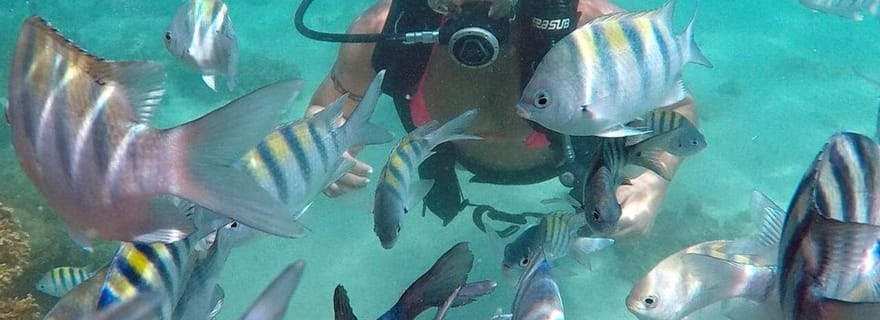 MARAGOGI : TRANSPORT + CATAMARAN (PISCINES NATURELLES) AU DÉPART DE MACEIÓ