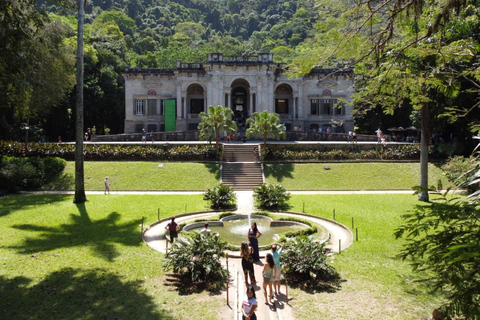 Tour guidato del Giardino Botanico e del Parco Lage nel cuore di Rio