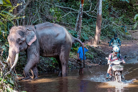 Scooter Adventure incl Elephants, Cave Chiangmai Backcountry scooter adventure incl. elephants