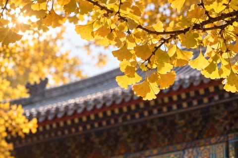 Beijing: Hongluo Temple Ticket, Private Car or Tour