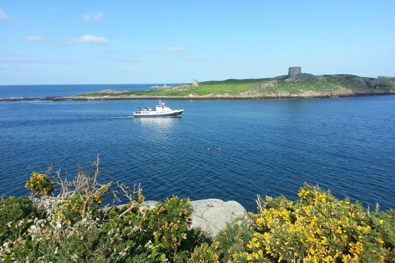 Dublin: Dun Laoghaire Dalkey Island Boat Cruise Dublin: Dun Laoghaire Dalkey Island Boat Cruise Midweek