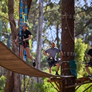 Busselton: Forest Adventure with Zip Lining and Rope Course
