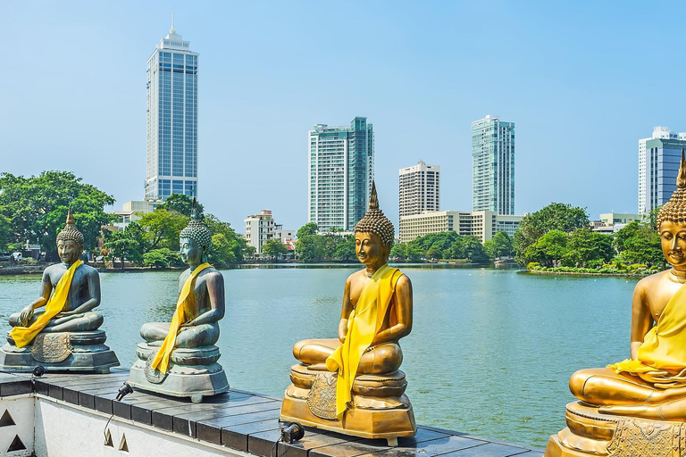 Explora la ciudad de Colombo en Tuk Tuk privado o en coche