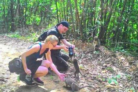 Khao Lak: Safari privado na selva de Khao Sok com rafting em bambu