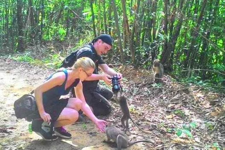 Khao Lak: Privat Khao Sok djungelsafari med bamburafting