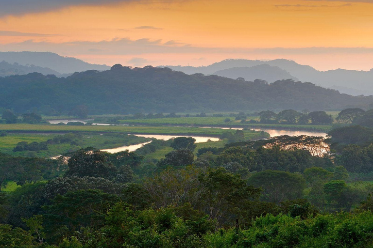 Parque Nacional de Carara: Paseo guiado Carara Costa Rica Naturaleza