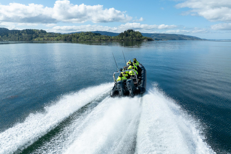 Bergen: Modalen RIB Fjord Safari with Lunch & Transfer