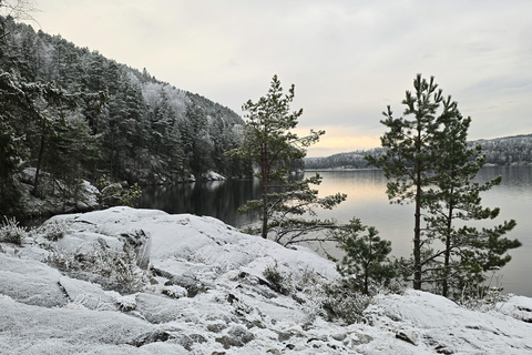 Oslo: Old-Growth Forest Hike with a Biologist