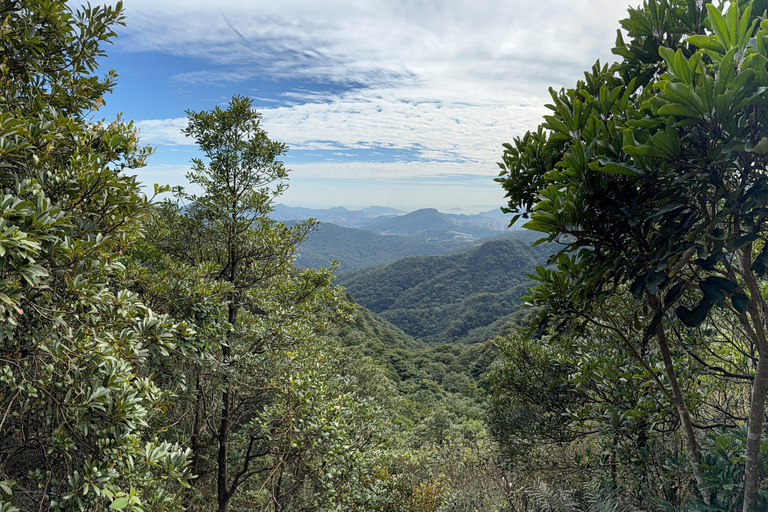 Hong Kong: Tung Shan Skyline Views Guided Hike (2.5 Hours)