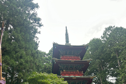 Tour privato di un giorno a Nikko con autista che parla inglese