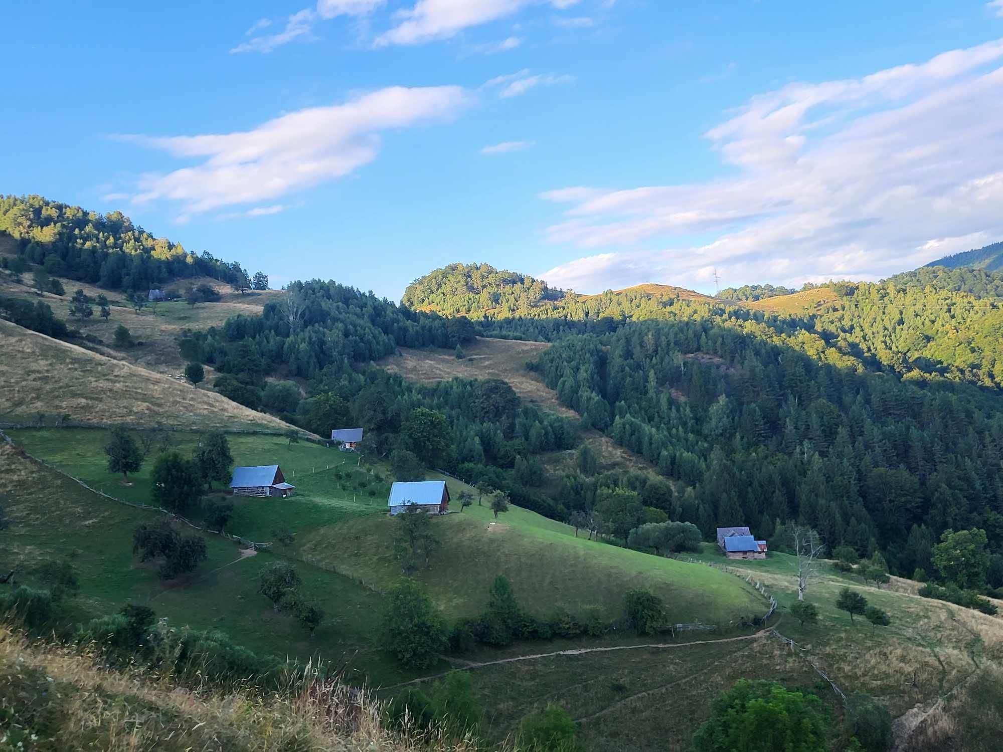 Sibiu: Wanderung im Cindrel-Gebirge mit traditionellem Brunch
