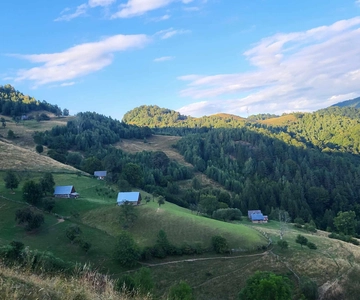 Sibiu: Vandring i Cindrel-bjergene med traditionel brunch