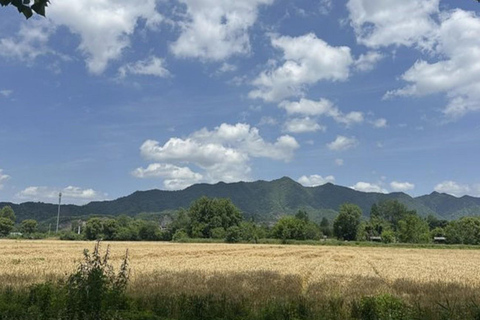 Shanghai: Tongzhou River Island & Fruit Picking Day Trip