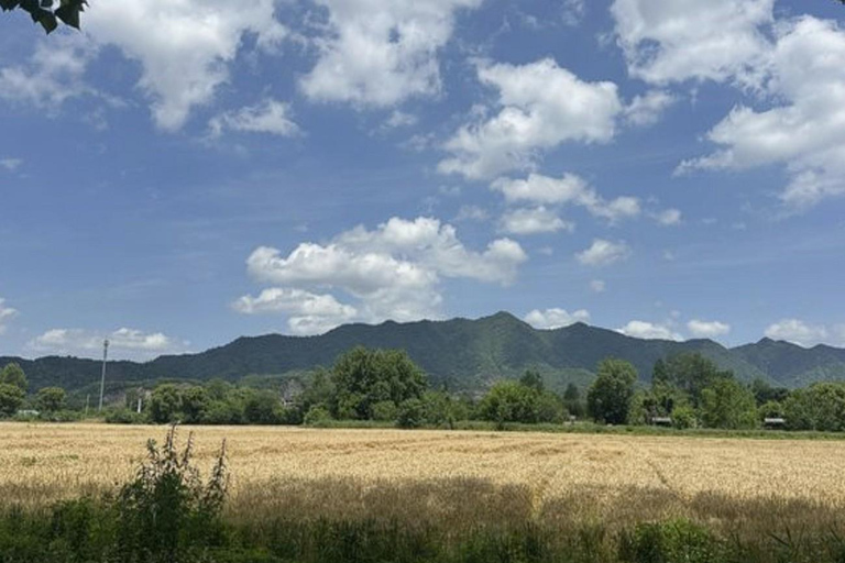 Shanghai: Tongzhou River Island & Fruit Picking Day Trip