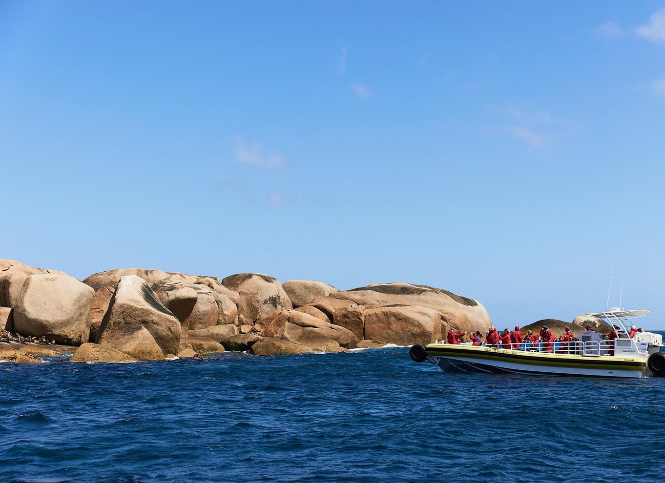 Wilsons Promontory: Eftermiddagskrydstogt i vildmarken