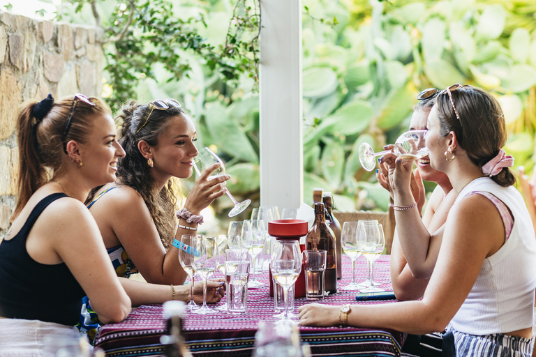 Chania: visite hors route au coucher du soleil avec dégustation de vins