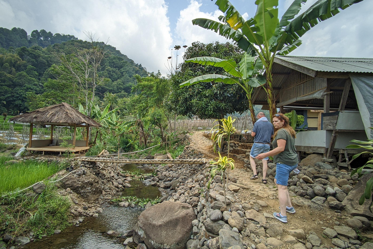 Bandung Countryside Tour: Waterfall, Rice Fields &amp; Culture