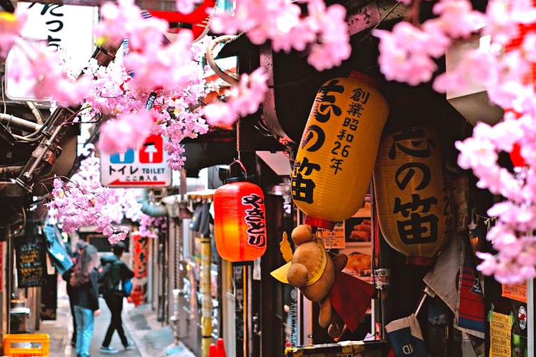 Tour privato di Tokyo personalizzabile con una guida