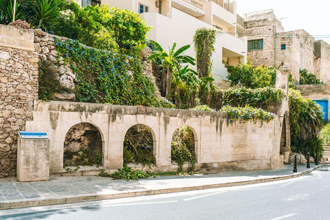 Malta: Gozo Day Trip with Ferry, Lunch, and Bulgarian Guide